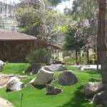 Artificial Turf Landscaping - Carson City