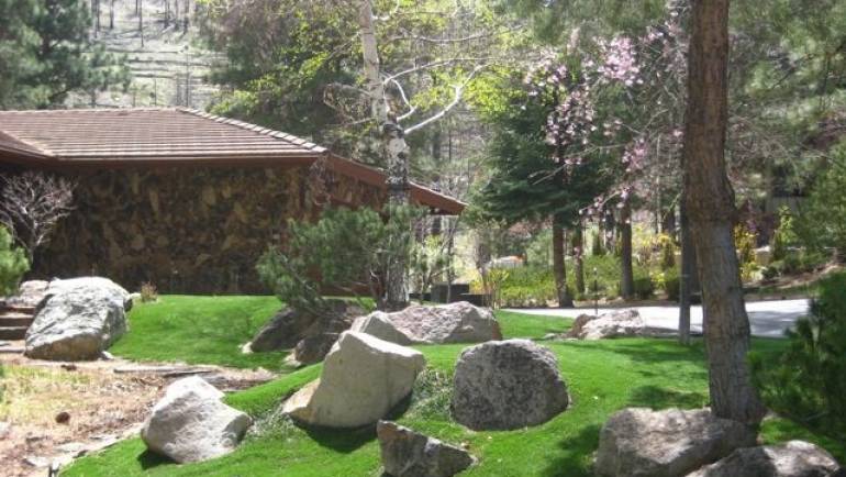 Artificial Turf Landscaping – Carson City