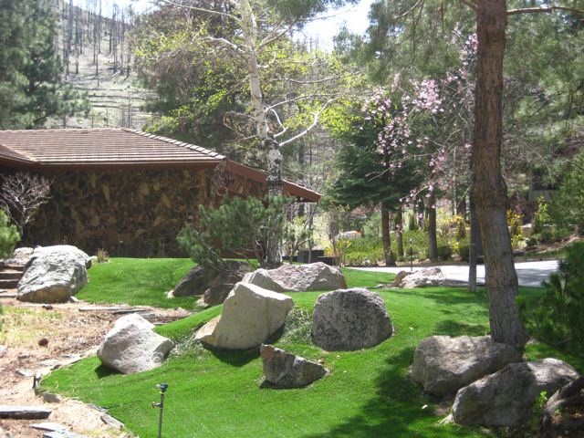 Artificial Turf Landscaping - Carson City